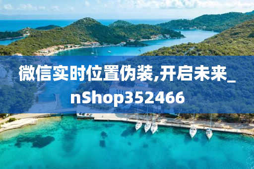 微信实时位置伪装,开启未来_nShop352466