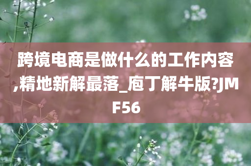 跨境电商是做什么的工作内容,精地新解最落_庖丁解牛版?JMF56