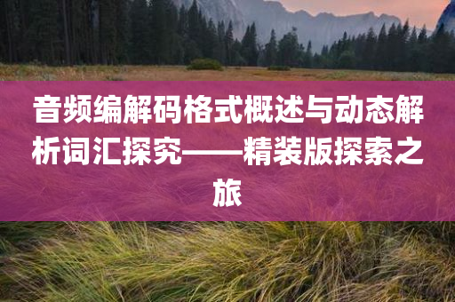 音频编解码格式概述与动态解析词汇探究——精装版探索之旅