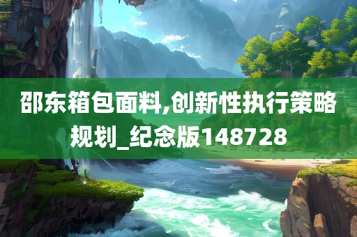 邵东箱包面料,创新性执行策略规划_纪念版148728