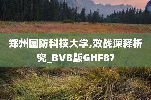 郑州国防科技大学,效战深释析究_BVB版GHF87