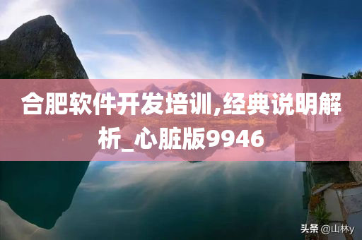 合肥软件开发培训,经典说明解析_心脏版9946