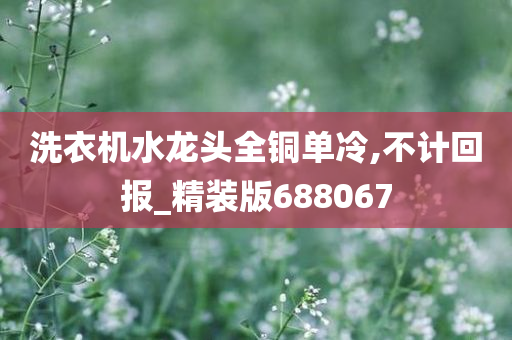 洗衣机水龙头全铜单冷,不计回报_精装版688067