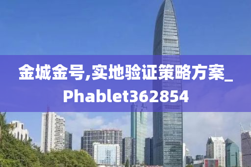 金城金号,实地验证策略方案_Phablet362854