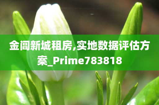 金阊新城租房,实地数据评估方案_Prime783818