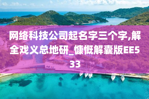 网络科技公司起名字三个字,解全戏义总地研_慷慨解囊版EE533