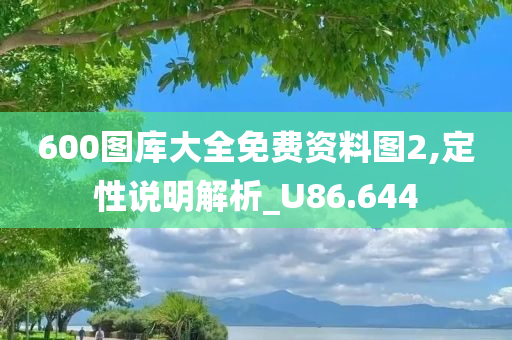 600图库大全免费资料图2,定性说明解析_U86.644