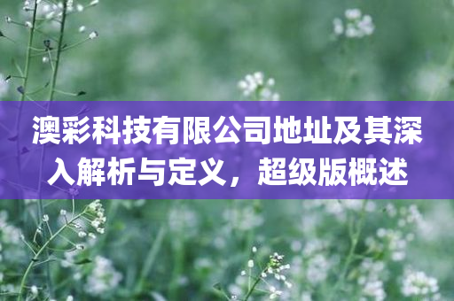 澳彩科技有限公司地址及其深入解析与定义，超级版概述