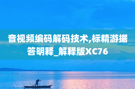 音视频编码解码技术,标精游据答明释_解释版XC76