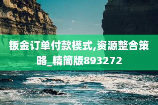 钣金订单付款模式,资源整合策略_精简版893272