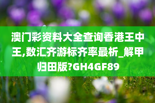 澳门彩资料大全查询香港王中王,数汇齐游标齐率最析_解甲归田版?GH4GF89