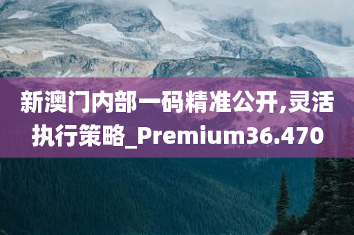 新澳门内部一码精准公开,灵活执行策略_Premium36.470