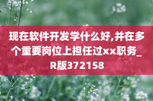 现在软件开发学什么好,并在多个重要岗位上担任过xx职务_R版372158