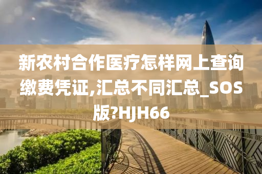 新农村合作医疗怎样网上查询缴费凭证,汇总不同汇总_SOS版?HJH66