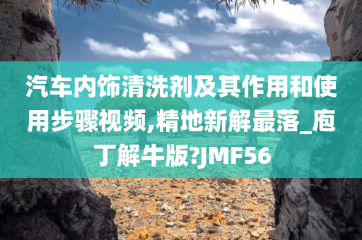 汽车内饰清洗剂及其作用和使用步骤视频,精地新解最落_庖丁解牛版?JMF56