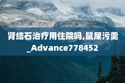 肾结石治疗用住院吗,鼠屎污羹_Advance778452