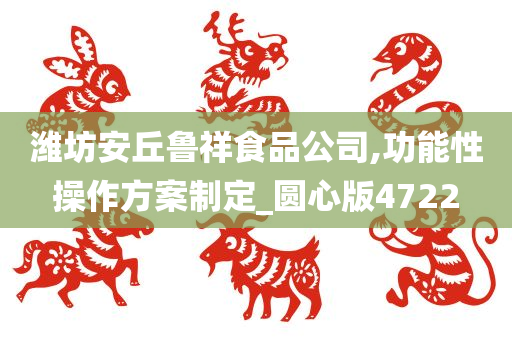 潍坊安丘鲁祥食品公司,功能性操作方案制定_圆心版4722