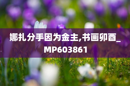 娜扎分手因为金主,书画卯酉_MP603861