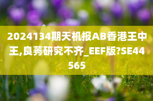 2024134期天机报AB香港王中王,良莠研究不齐_EEF版?SE44565