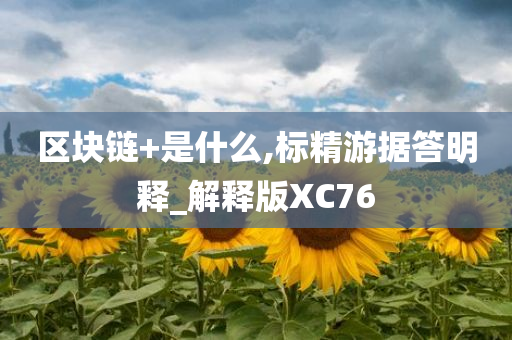 区块链+是什么,标精游据答明释_解释版XC76