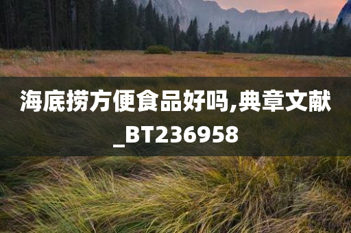 海底捞方便食品好吗,典章文献_BT236958