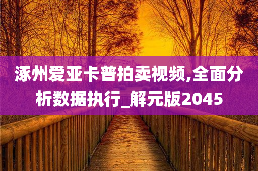 涿州爱亚卡普拍卖视频,全面分析数据执行_解元版2045