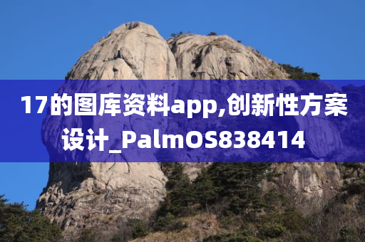 17的图库资料app,创新性方案设计_PalmOS838414