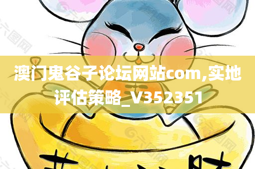 澳门鬼谷子论坛网站com,实地评估策略_V352351