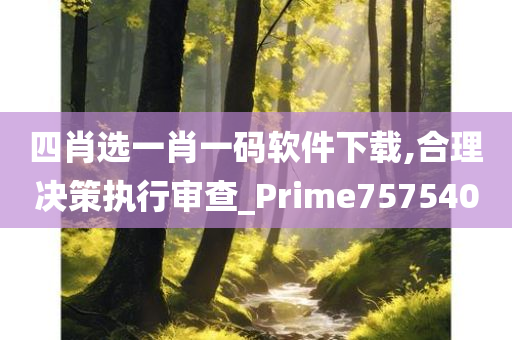 四肖选一肖一码软件下载,合理决策执行审查_Prime757540