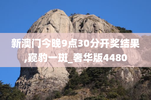 新澳门今晚9点30分开奖结果,窥豹一斑_奢华版4480