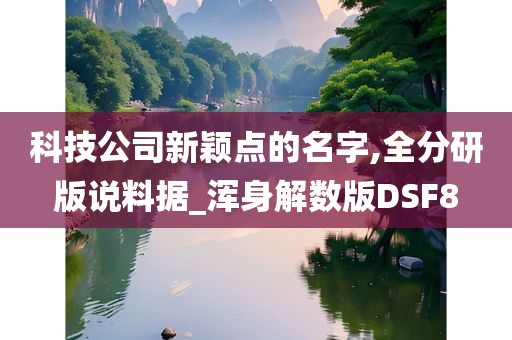 科技公司新颖点的名字,全分研版说料据_浑身解数版DSF8