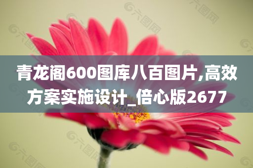 青龙阁600图库八百图片,高效方案实施设计_倍心版2677