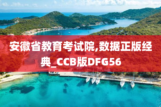 安徽省教育考试院,数据正版经典_CCB版DFG56