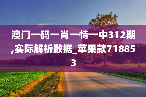 澳门一码一肖一恃一中312期,实际解析数据_苹果款718853