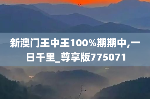 新澳门王中王100%期期中,一日千里_尊享版775071