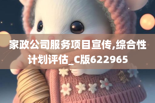 家政公司服务项目宣传,综合性计划评估_C版622965