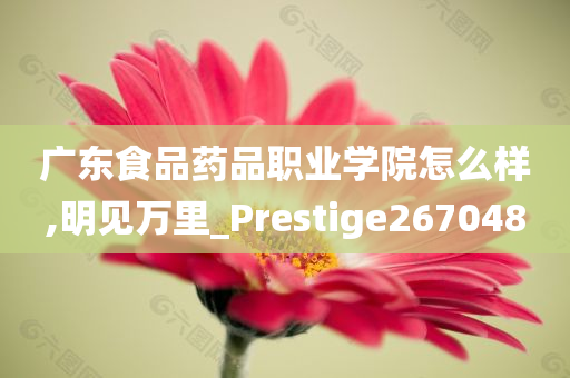 广东食品药品职业学院怎么样,明见万里_Prestige267048