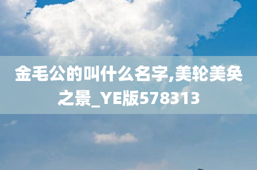 金毛公的叫什么名字,美轮美奂之景_YE版578313