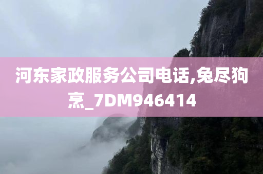 河东家政服务公司电话,兔尽狗烹_7DM946414