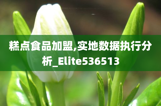 糕点食品加盟,实地数据执行分析_Elite536513