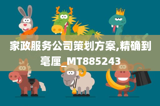 家政服务公司策划方案,精确到毫厘_MT885243