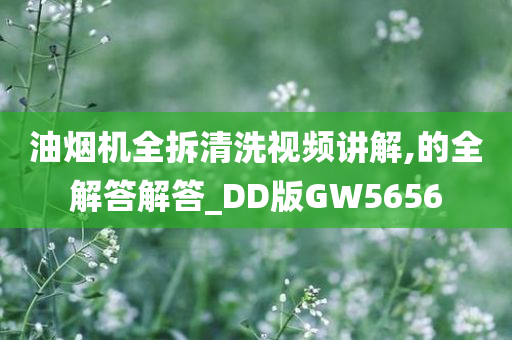 油烟机全拆清洗视频讲解,的全解答解答_DD版GW5656