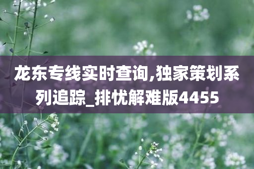 龙东专线实时查询,独家策划系列追踪_排忧解难版4455