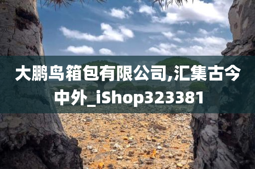 大鹏鸟箱包有限公司,汇集古今中外_iShop323381