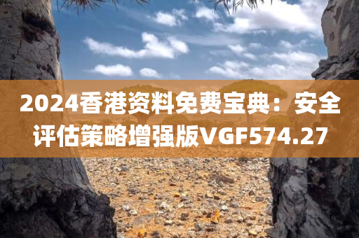 2024香港资料免费宝典：安全评估策略增强版VGF574.27