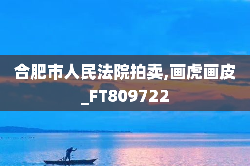 合肥市人民法院拍卖,画虎画皮_FT809722