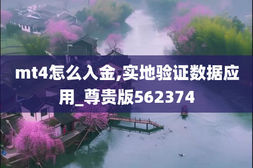 mt4怎么入金,实地验证数据应用_尊贵版562374