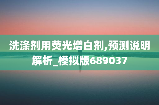 洗涤剂用荧光增白剂,预测说明解析_模拟版689037