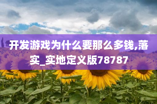 开发游戏为什么要那么多钱,落实_实地定义版78787