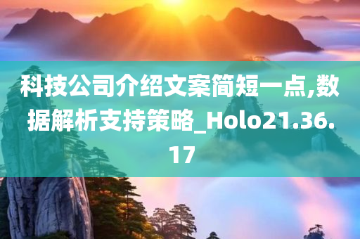 科技公司介绍文案简短一点,数据解析支持策略_Holo21.36.17